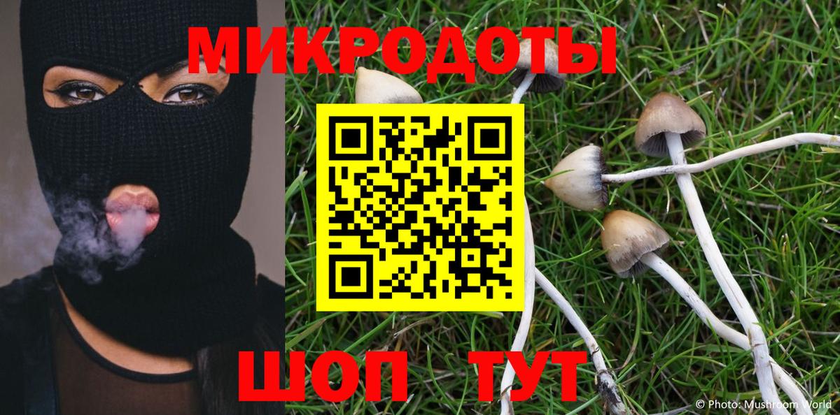 Псилоцибиновые грибы ЛСД Холмск