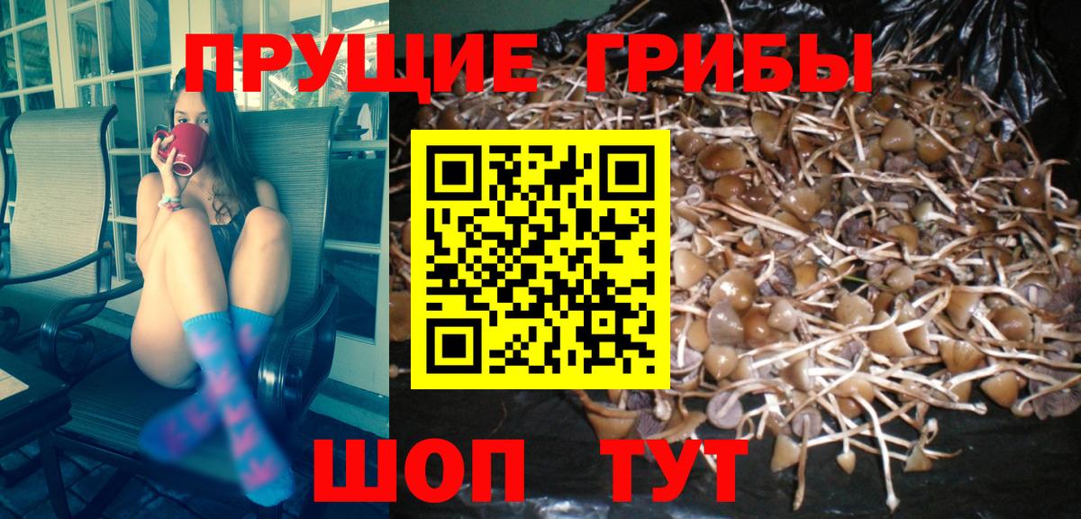 Галлюциногенные грибы Psilocybe  Вход с VPN  где продают   Псилоцибиновые грибы Psilocybine cubensis  Холмск 